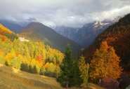 Nome File=autunno.jpg
Dimensione File=320KB
Dimensioni=1200x824
Data aggiunta=Ott 17, 2013 autunno.jpg