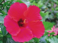 Nome File=fiore.jpg
Dimensione File=204KB
Dimensioni=1200x900
Data aggiunta=Ago 07, 2013 fiore.jpg