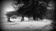 Nome File=lion.JPG
Dimensione File=323KB
Dimensioni=1200x673
Data aggiunta=Dic 23, 2014 lion.JPG