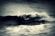 surf.jpg
