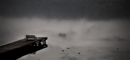 Filename=DSC_0207.jpg
Filesize=272KB
Dimensions=1000x461
Date added=Feb 25, 2015 DSC_0207.jpg