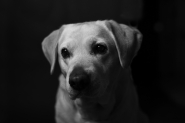 DSC_991yyyyy8_01.jpg