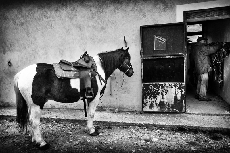 Clicca per l'immagine full size