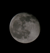 DSC_0001.JPG