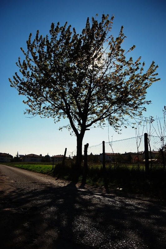 Clicca per l'immagine full size