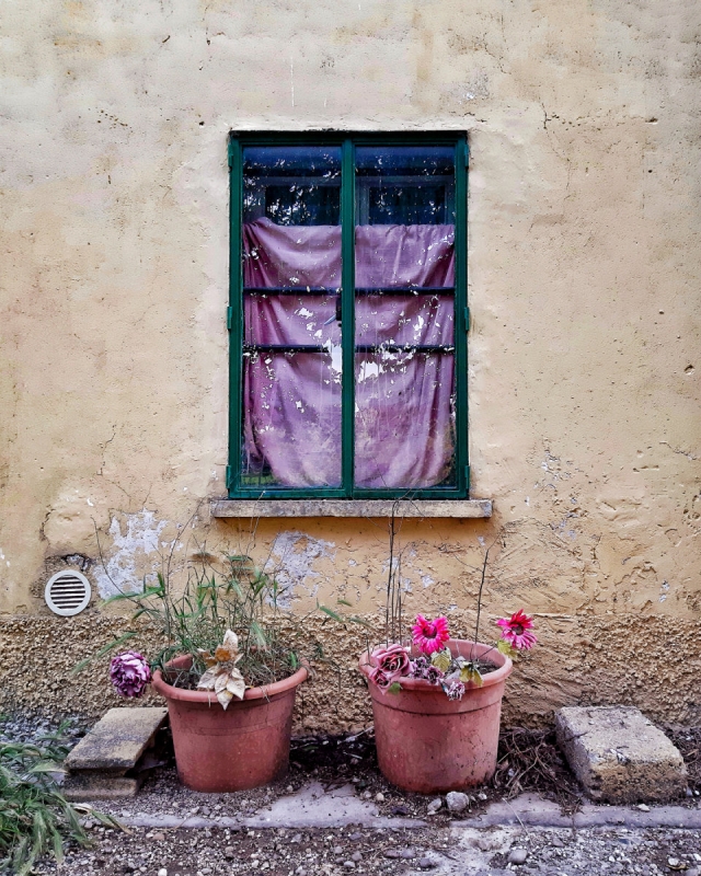 Clicca per l'immagine full size