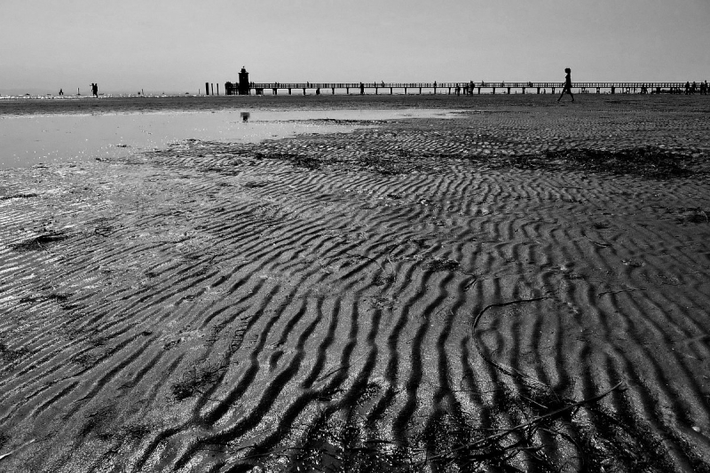 Clicca per l'immagine full size