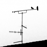 Nome File=Antenne_IMG_20150602_203616_L_1200x1200.jpeg
Dimensione File=53KB
Dimensioni=1200x1200
Data aggiunta=Giu 02, 2015 Antenne_IMG_20150602_203616_L_1200x1200.jpeg