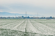 Neve_DSC_0487_RT_1200x800_filtered.jpg Neve_DSC_0487_RT_1200x800_filtered.jpg