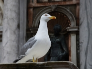 Nome File=Venezia_DSC_4442_1200x900.jpg
Dimensione File=171KB
Dimensioni=1200x900
Data aggiunta=Apr 11, 2018 Venezia_DSC_4442_1200x900.jpg