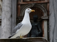 Venezia_DSC_4442_1200x900.jpg