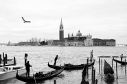 Nome File=Venezia_DSC_4460_C_BN_1200x800.jpg
Dimensione File=238KB
Dimensioni=1200x800
Data aggiunta=Mar 25, 2018 Venezia_DSC_4460_C_BN_1200x800.jpg