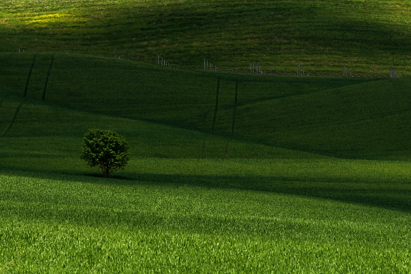 Clicca per l'immagine full size