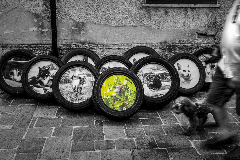 Clicca per l'immagine full size