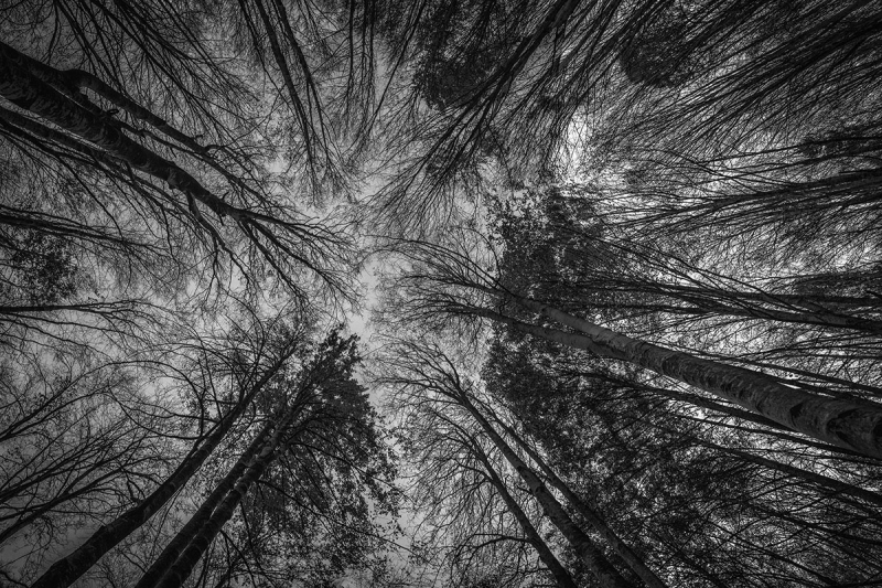 Clicca per l'immagine full size