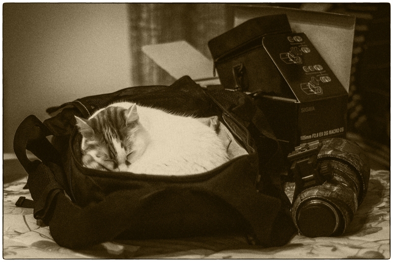 Clicca per l'immagine full size
