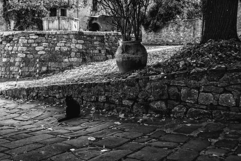Clicca per l'immagine full size