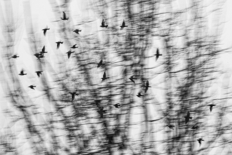 Clicca per l'immagine full size