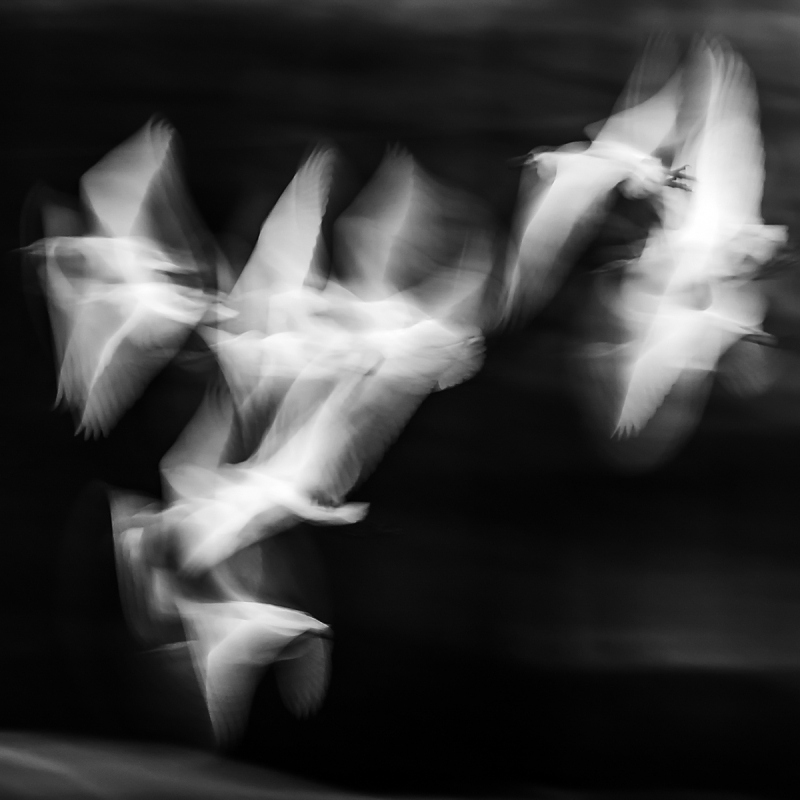 Clicca per l'immagine full size