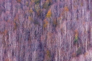 DSC_5615_____[1].jpg