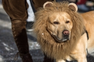 DSC_5654__[1].jpg