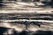 Nome File=il-mare-d_inverno.jpg
Dimensione File=591KB
Dimensioni=1100x731
Data aggiunta=Lug 11, 2014 il-mare-d_inverno.jpg
