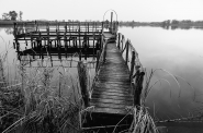 Nome File=il-pontile.jpg
Dimensione File=596KB
Dimensioni=1200x797
Data aggiunta=Feb 26, 2016 il-pontile.jpg