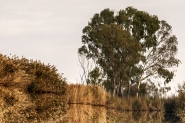 Nome File=impressioni_d_autunno_in_padule_5b____.jpg
Dimensione File=463KB
Dimensioni=1200x800
Data aggiunta=Mag 28, 2016 impressioni_d_autunno_in_padule_5b____.jpg