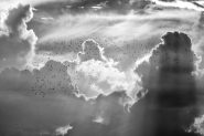 migranti-bw[1].jpg