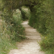 Nome File=sentieri.jpg
Dimensione File=472KB
Dimensioni=900x900
Data aggiunta=Lug 21, 2015 sentieri.jpg
