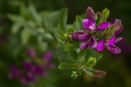 Nome File=spring_colors___.jpg
Dimensione File=500KB
Dimensioni=1200x800
Data aggiunta=Mar 27, 2015 spring_colors___.jpg