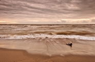 Nome File=wave.jpg
Dimensione File=508KB
Dimensioni=1200x797
Data aggiunta=Feb 11, 2014 wave.jpg