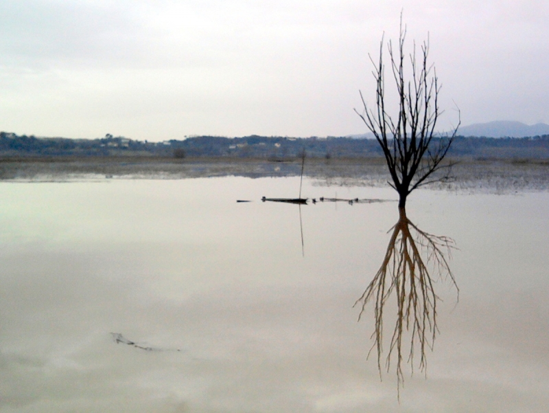 Clicca per l'immagine full size
