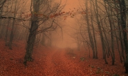 DSCN1752-ritweb.jpg