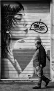 DSC_0060web.jpg