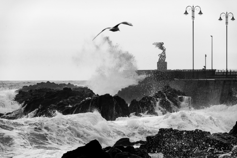 Clicca per l'immagine full size