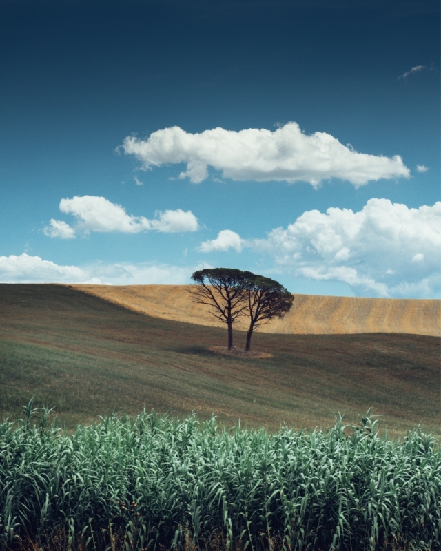 Clicca per l'immagine full size