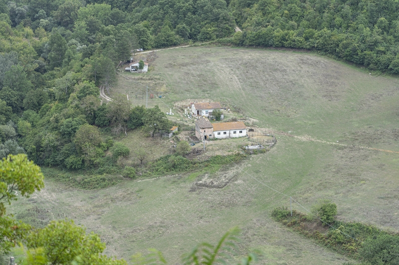 Clicca per l'immagine full size