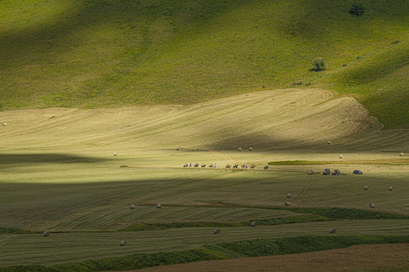 Clicca per l'immagine full size