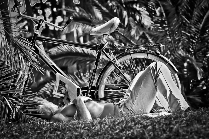 Clicca per l'immagine full size