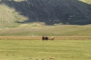 IMG_0143_copia.jpg