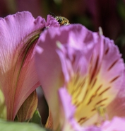 IMG_2080_copia.jpg