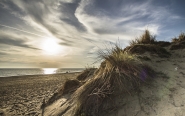 Nome File=dune2.JPG
Dimensione File=489KB
Dimensioni=900x569
Data aggiunta=Mar 15, 2017 dune2.JPG