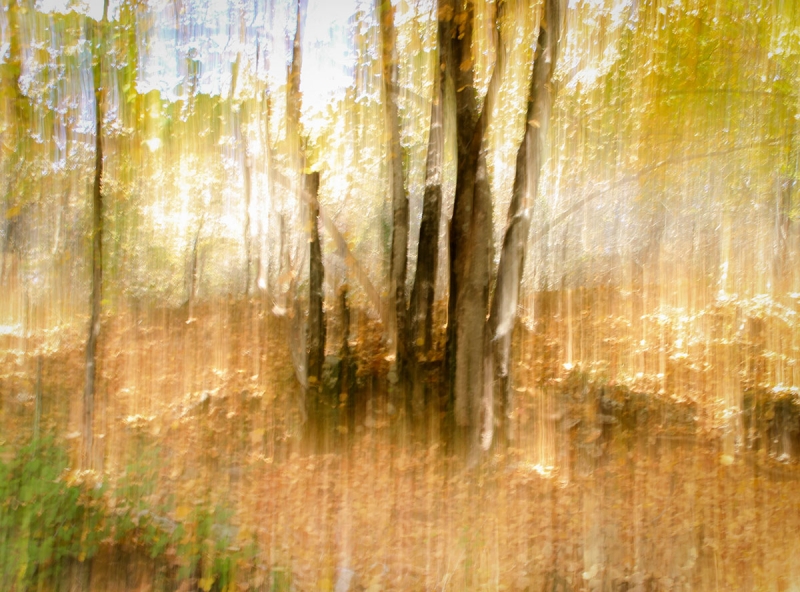 Clicca per l'immagine full size