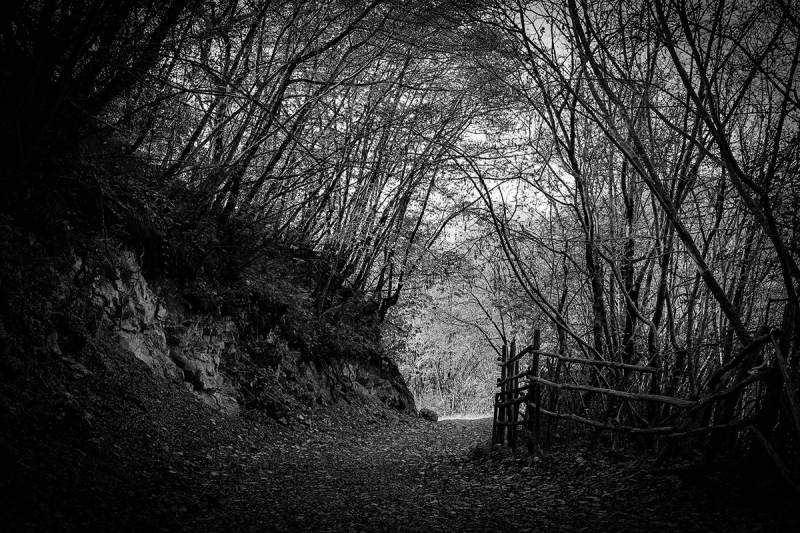 Clicca per l'immagine full size