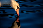 Filename=PDC_4341-small.jpg
Filesize=561KB
Dimensions=1200x800
Date added=Feb 19, 2023 PDC_4341-small.jpg