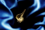 Nome File=mare-profondo.jpg
Dimensione File=406KB
Dimensioni=1200x801
Data aggiunta=Feb 29, 2016 mare-profondo.jpg