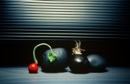 still-life-3.jpg