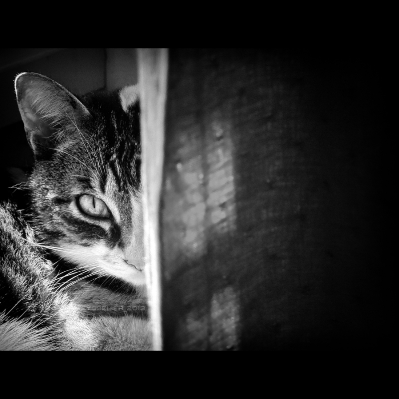 Clicca per l'immagine full size