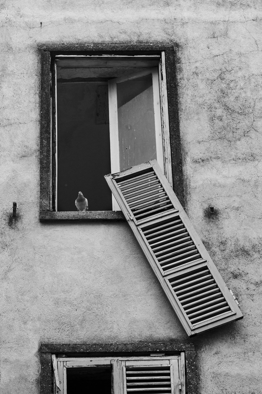 Clicca per l'immagine full size